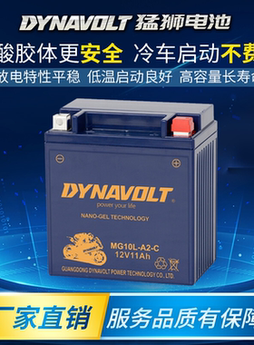 猛狮摩托车电瓶12V10L-A2 望江GN250三轮 力帆V16雅马哈XV250电池