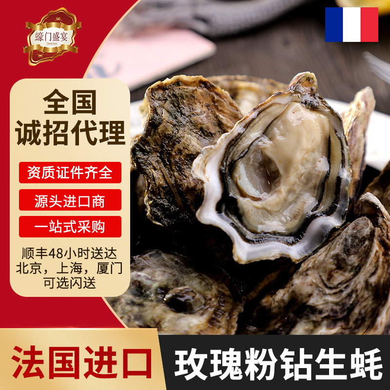 法国玫瑰粉钻生蚝刺身级生吃48只鲜活生蚝餐饮生蚝大量