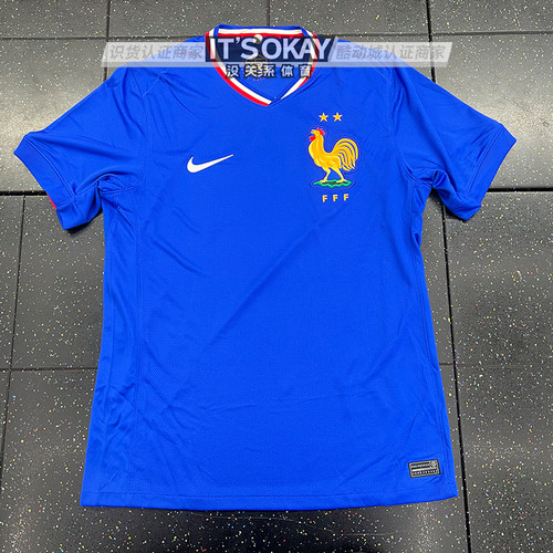 NIKE/耐克短袖法国队球迷版T恤