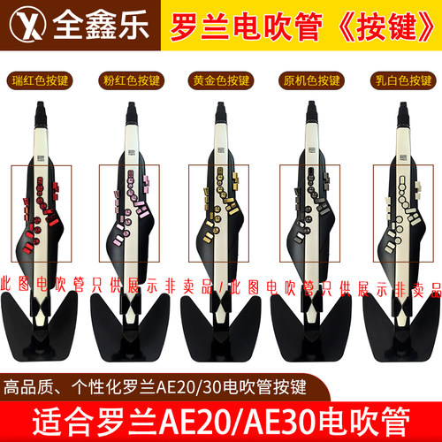 罗兰AE20/30电吹管专用按键