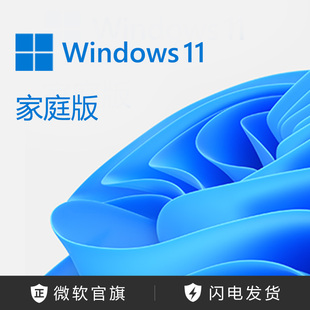 密钥 Microsoft 激活序列号 微软 电子下载版 家庭版 Windows