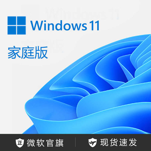 微软Windows11家庭版电子下载版