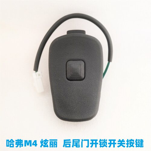 C20R炫丽M4M2酷熊凌傲尾门开关