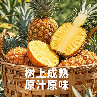 正宗海南香水凤梨新鲜水果树上熟大果凤梨整箱8斤装