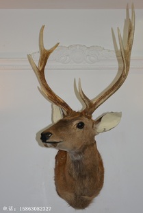 复古半身长脖鹿头鹿角标本C2酒吧茶楼样板间办公会所动物招财 美式