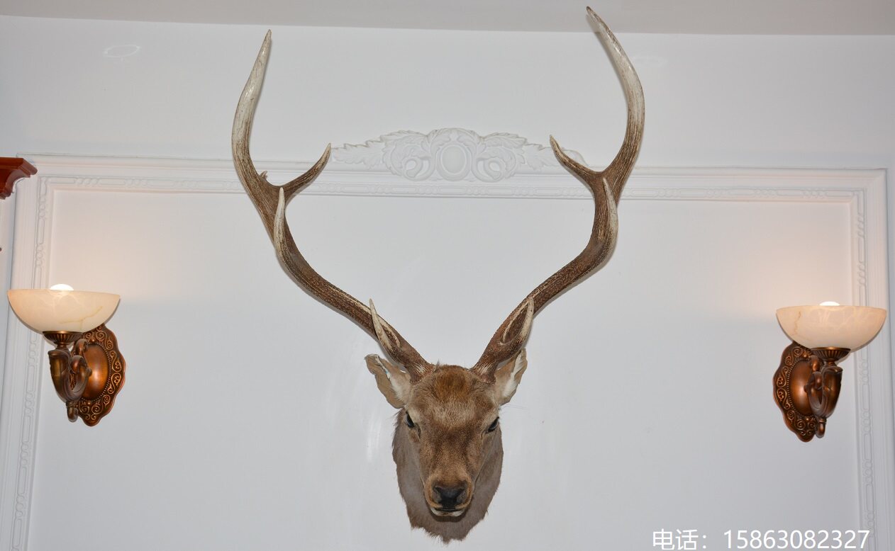 真角鹿头标本壁挂X10招财摆件办公家居壁饰 美式乡村壁炉墙饰装饰