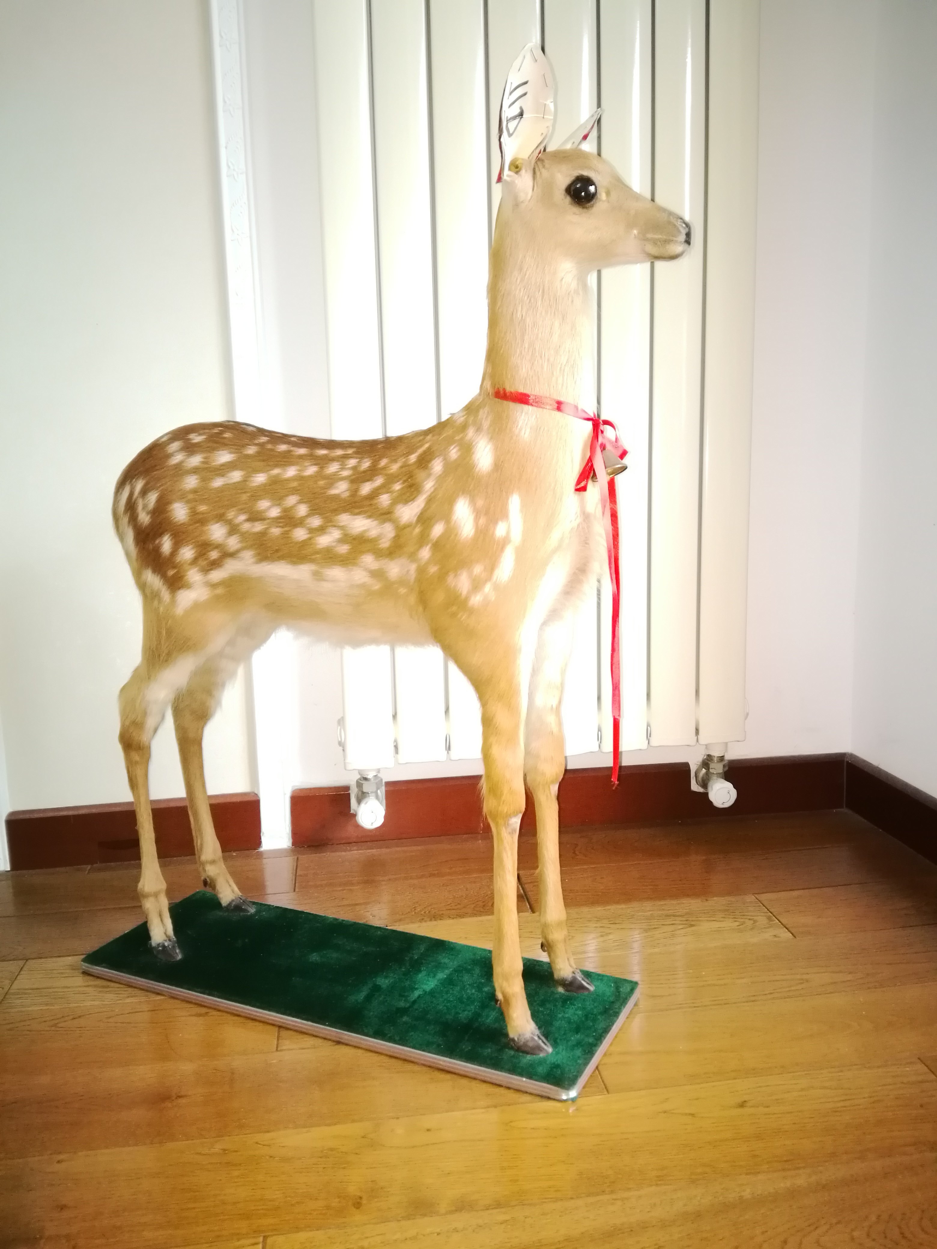 中号梅花鹿标本摆件D教学模型店铺装饰整张真鹿皮毛一体生财有鹿