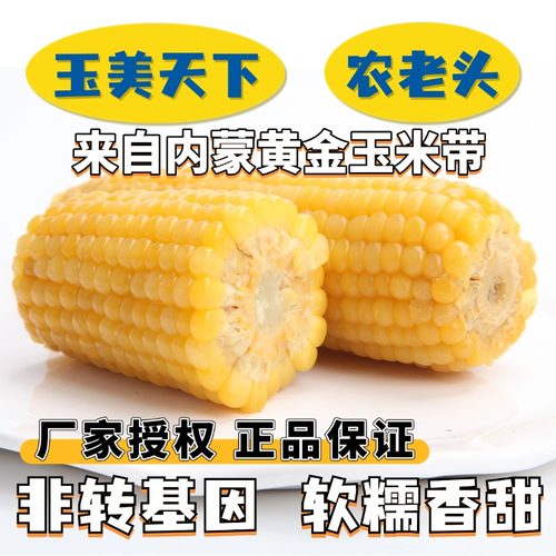 玉美天下香甜黄糯玉米8根