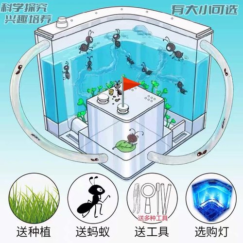 宠物玩具蚂蚁工坊城堡巢庄园生态