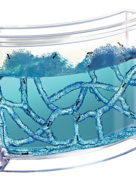 大号家养宠物玩具蚂蚁工坊蚂蚁城堡宫房宫殿家园别墅送蚂蚁生物课