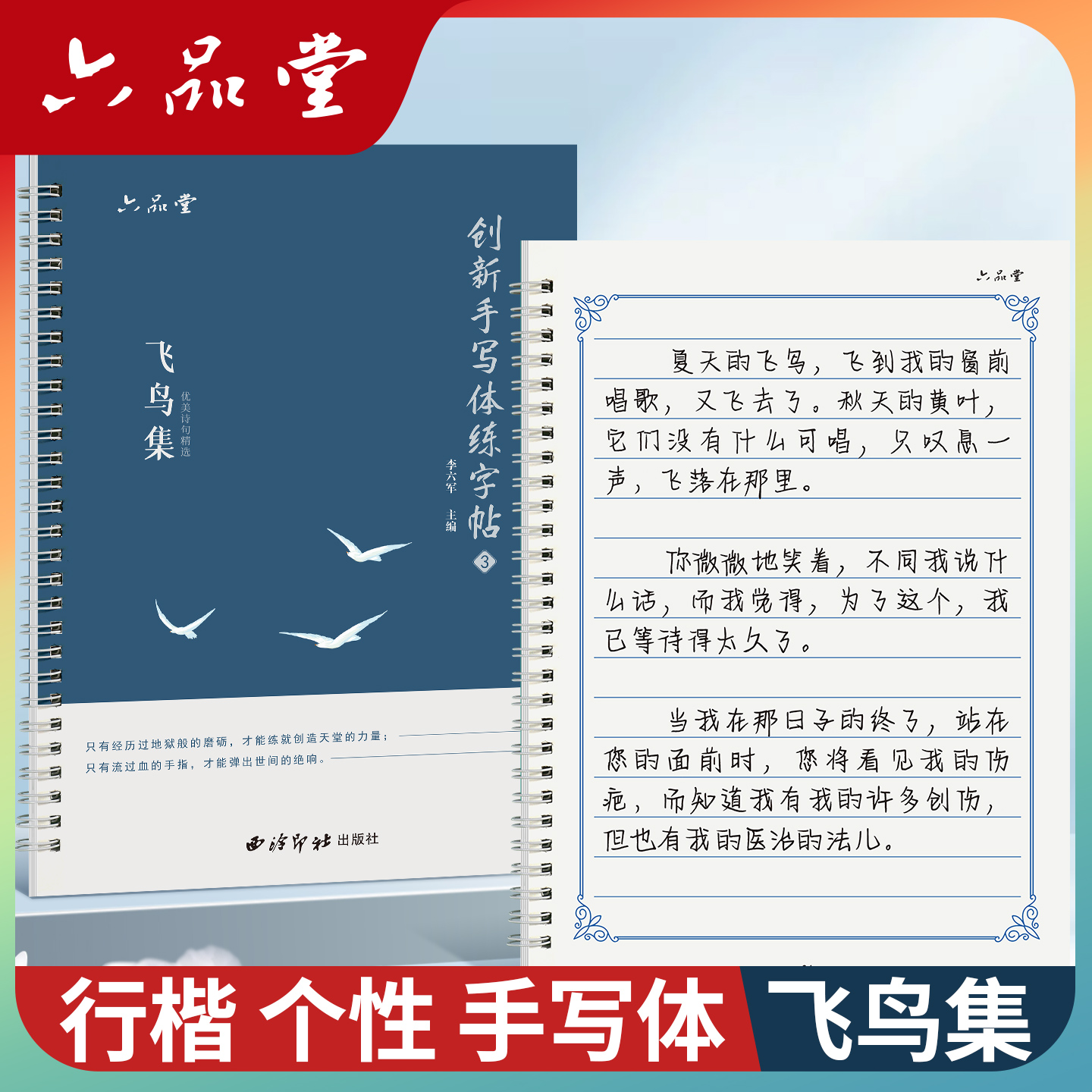 六品堂【个性手写体 飞鸟集】行楷字帖成人练字帖成人女生初中生高中生钢笔写字硬笔书法临摹传统练习静心实用书练字字帖专用教材