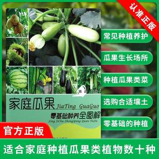 书 家庭小菜园蔬菜种植书绿色蔬菜瓜果种植技术大全书籍 家庭瓜果零基础种养全图解 社 家庭蔬菜栽培书籍 中国农业出版