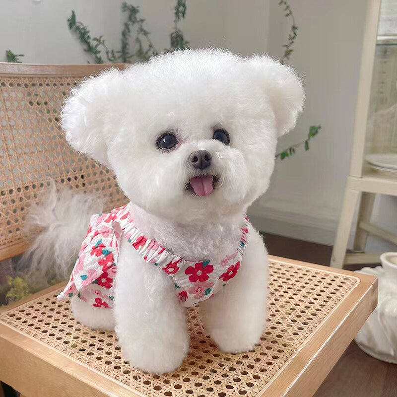 狗狗吊带背心裙子猫咪衣服宠物幼犬碎花弹力春秋夏吊带裙比熊泰迪