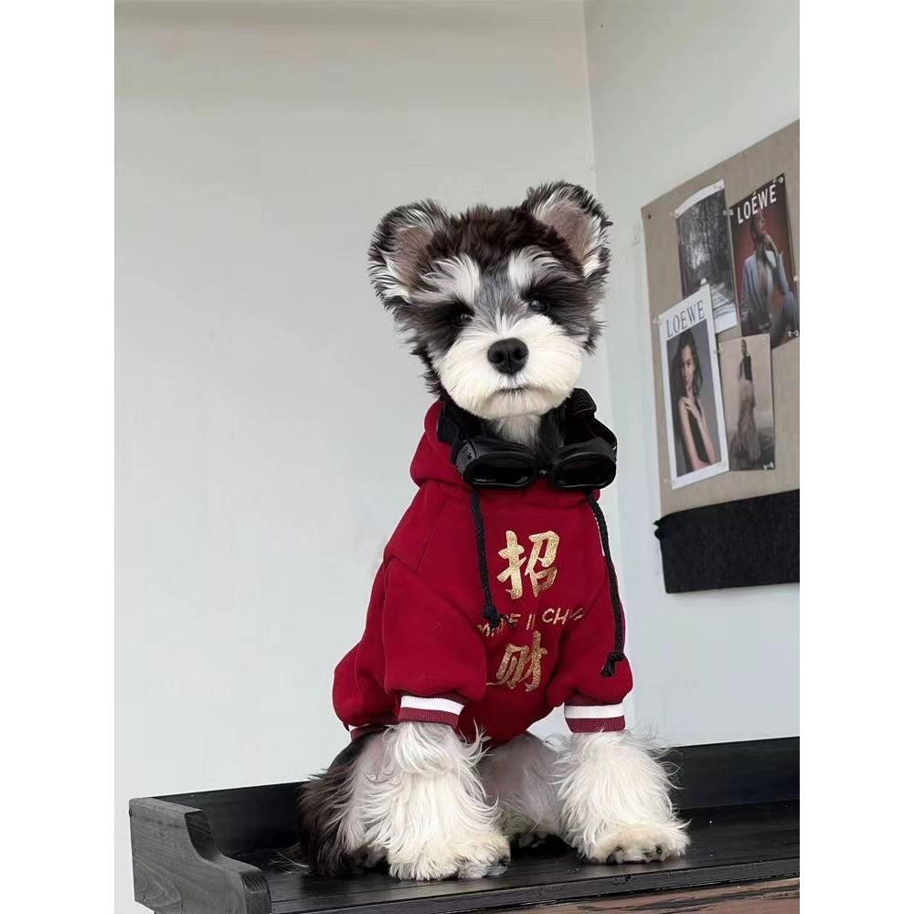 新年衣服狗狗冬装小型犬雪纳瑞泰迪博美过年保暖喜庆加绒加厚衣服