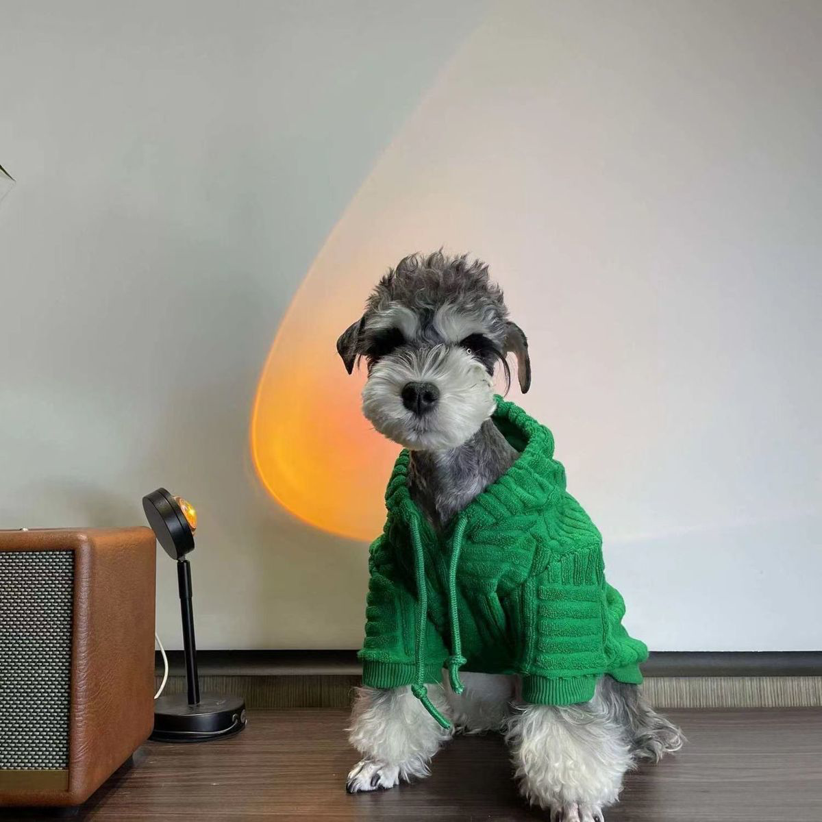 韩国狗狗衣服毛巾面料法斗雪纳瑞比熊泰迪柴犬猫咪连帽卫衣防掉毛
