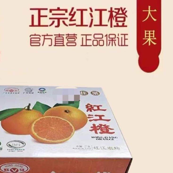 湛江特产红江橙新鲜当季水果现摘薄皮10斤清甜红江农场19队礼盒