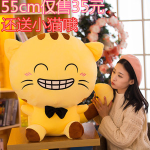 毛绒玩具大脸猫公仔可爱猫咪抱枕布娃娃大号少女心玩偶生日礼物女