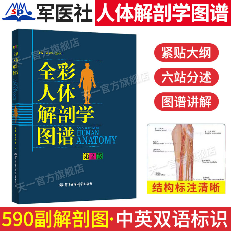正版速发！全彩人体解剖彩色学图谱 医生基础用书籍人体结构造教材军事医学中英文标识肌肉系统口腔瑜伽运动解刨生理学图鉴天一