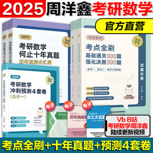 2025周洋鑫考研数学考点全刷