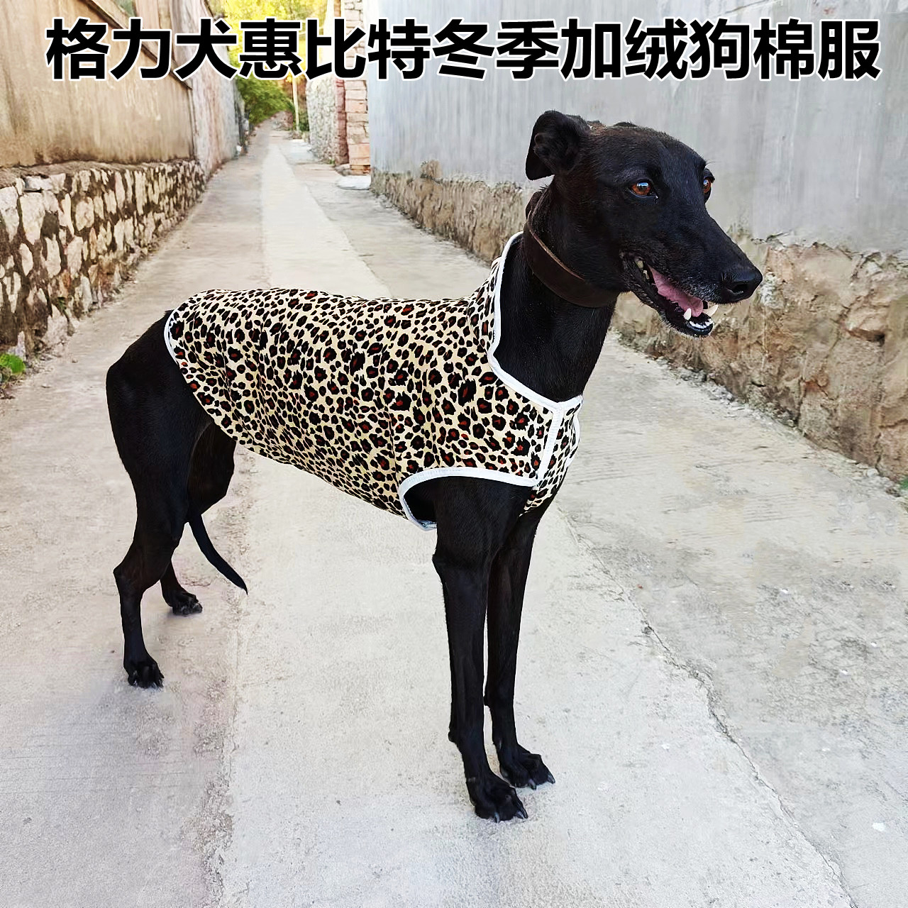 LG狗金丝绒防水复合防水加厚