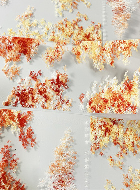 手帐分装胶带m77红叶满冠红色ZERO枫叶枫树景物PET古风素材账流麻