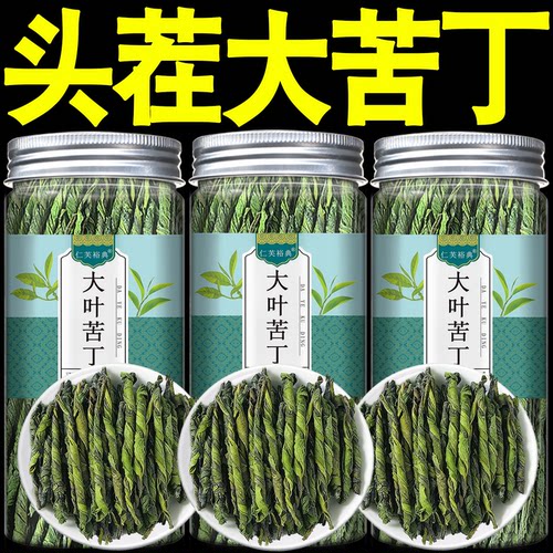 苦丁茶大叶小叶新茶官方旗舰店
