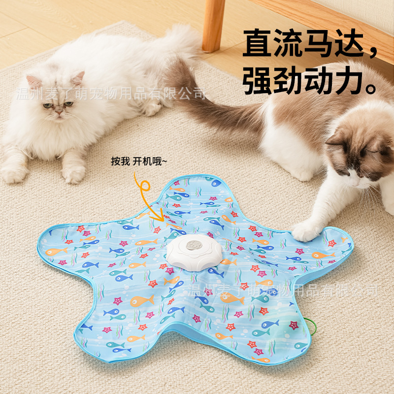 亚马逊新款猫咪自嗨跨境配套方形