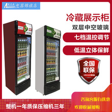 奥克森商用立式玻璃单门啤酒饮料柜1