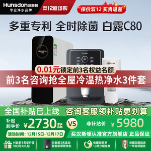汉斯顿净水器家用直饮0阻垢剂ro反渗透专利净水机1601升级白露C80