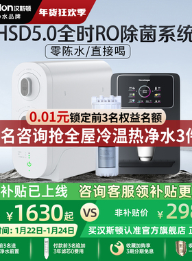 汉斯顿净水器家用直饮0阻垢剂0陈水厨房自来水过滤反渗透净水机D3