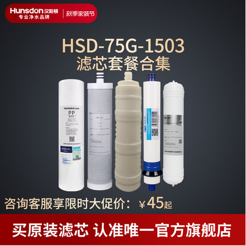 汉斯顿净水器家用直饮1503滤芯