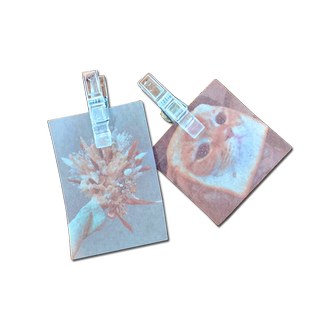 10个透明夹子图钉盒装工字钉软木板留言墙公告栏装饰按钉创意DIY可爱不伤照片墙毛毡板照片夹钉子