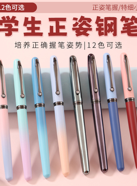 烂笔头钢笔8087小学生用金属正姿书法练字小清新可换墨囊吸墨两用
