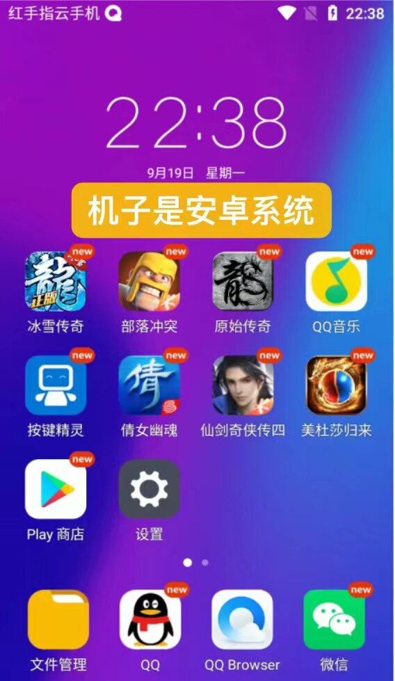 红手指云手机网络挂机