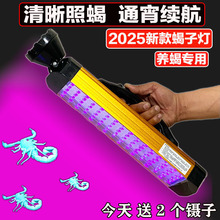 新款2025照蝎子灯专用强光超亮紫光大功率手电头戴式蝎子灯可充电
