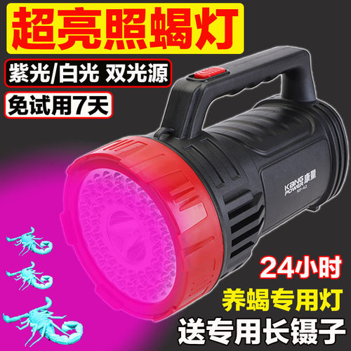 康量LED可充电可充电超亮蝎子灯