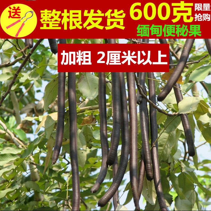 便秘果整根缅甸加粗正品野生500g神奇大解果排宿便纯植物清肠特价