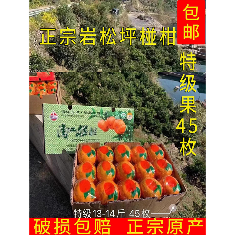 湖北长阳正宗岩松坪清江椪柑丑柑芦柑橘新鲜孕妇水果特级45枚包邮,水产肉类/新鲜蔬果/熟食,桔子,淘宝优惠券,粉丝福利购,淘宝优惠卷