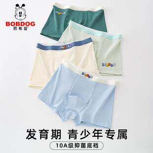 青少年男式 纯棉抗菌平角裤 四角裤 男生短裤 巴布豆男士 头男款 内裤