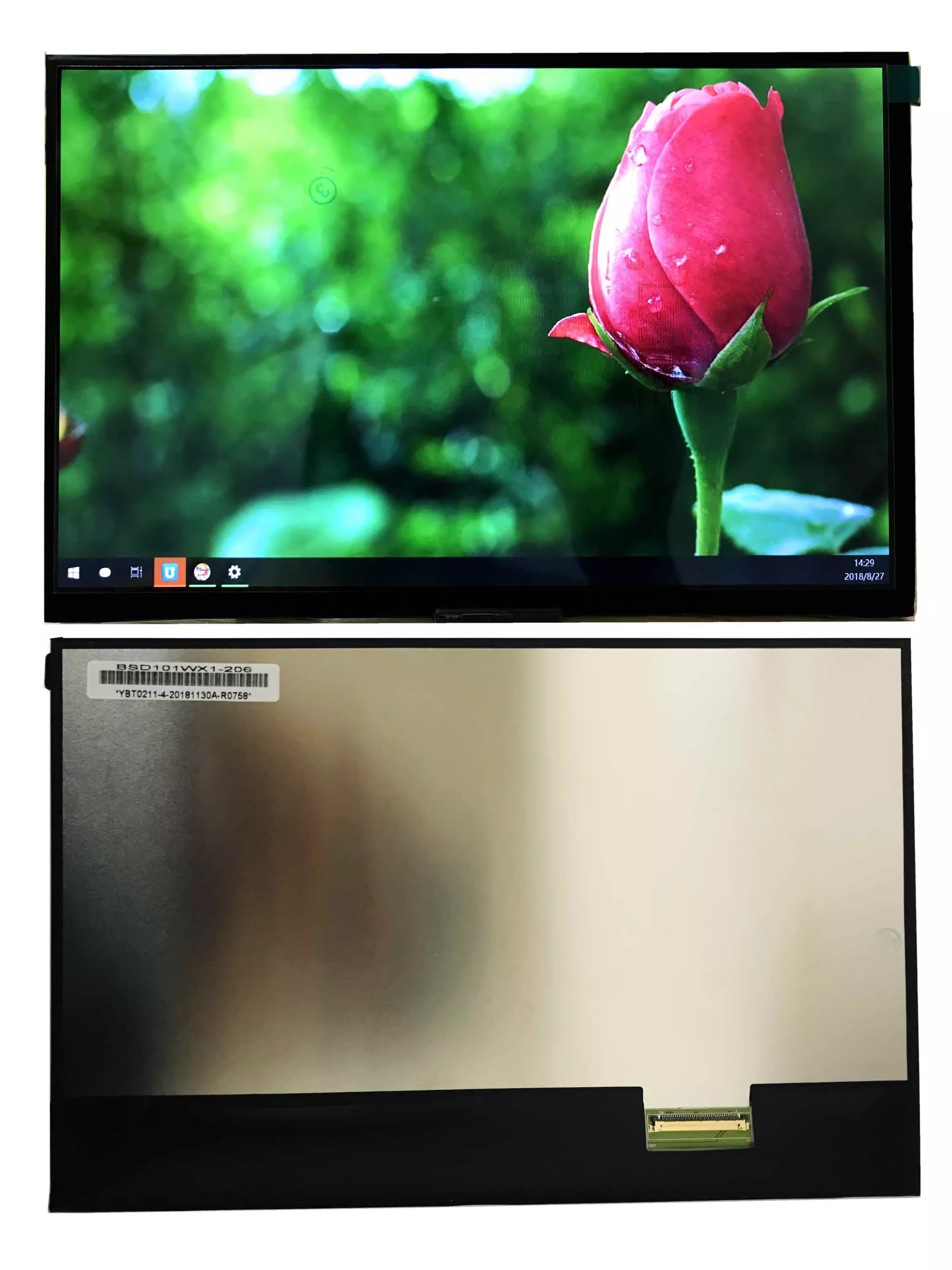 百升达热销品BSD101WX1-206液晶显示屏10.1英寸 LVDS接口1280x800 - 实物图