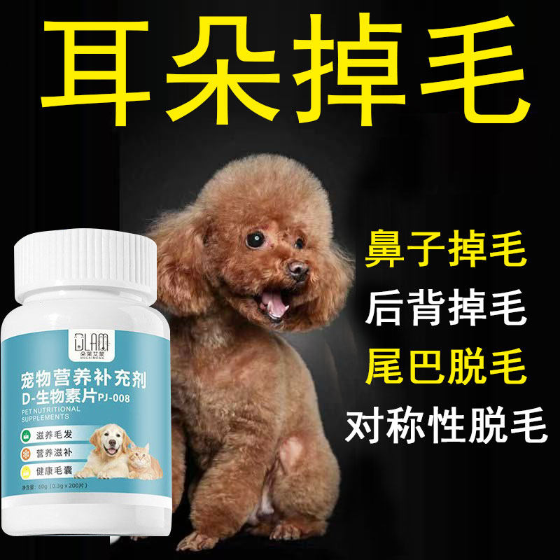 宠物泰迪耳朵掉毛秃毛鼻子后背脱毛皮屑神器鼻梁狗犬用严重吃什么
