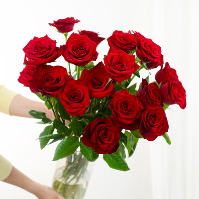 玫瑰花高原红玫瑰鲜花云南基地直发家庭水养优质鲜花