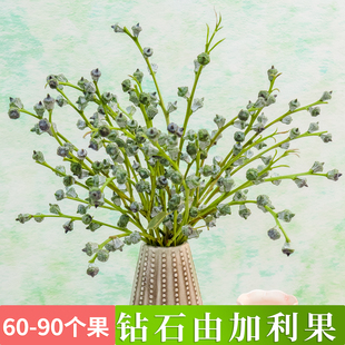 新鲜尤加利果安树果砖石老果云南基地直发直供干花花材无需水养