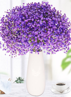 真花基地直发满天星干花