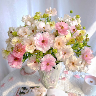 洋牡丹鲜花云南基地直发花艺师首选插花新年鲜花水养鲜花