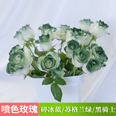云南基地直发彩色玫瑰鲜花水养