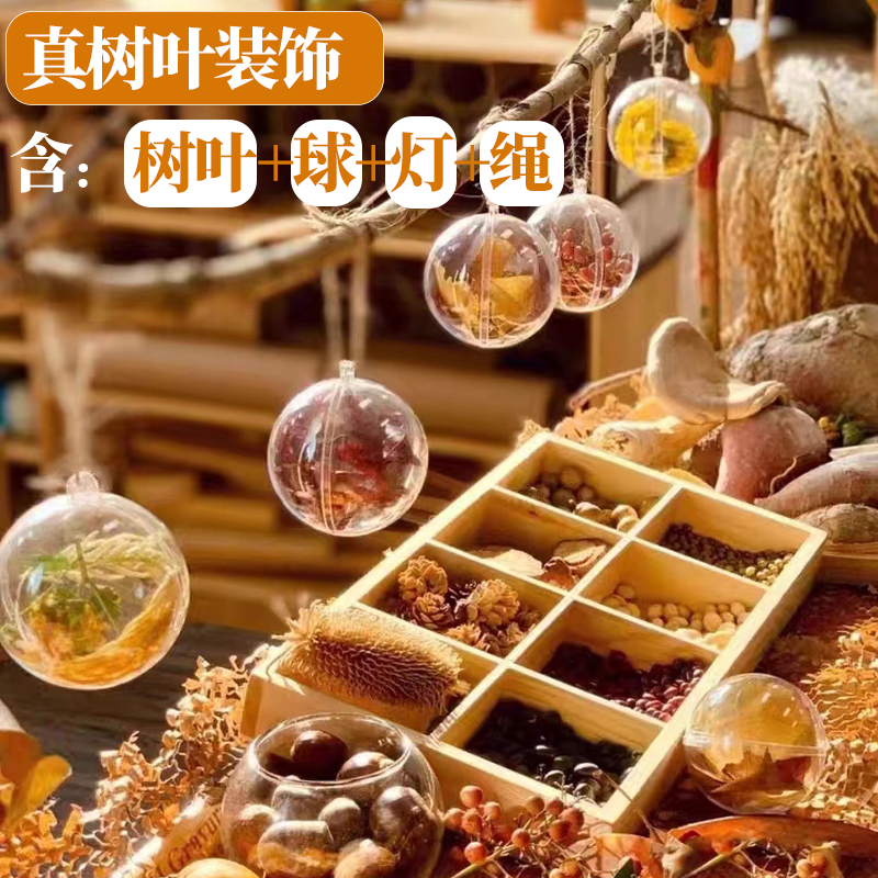 装饰圣诞树干果真花果落花蕾DIY节日氛围球吊灯吊饰永生叶发光球