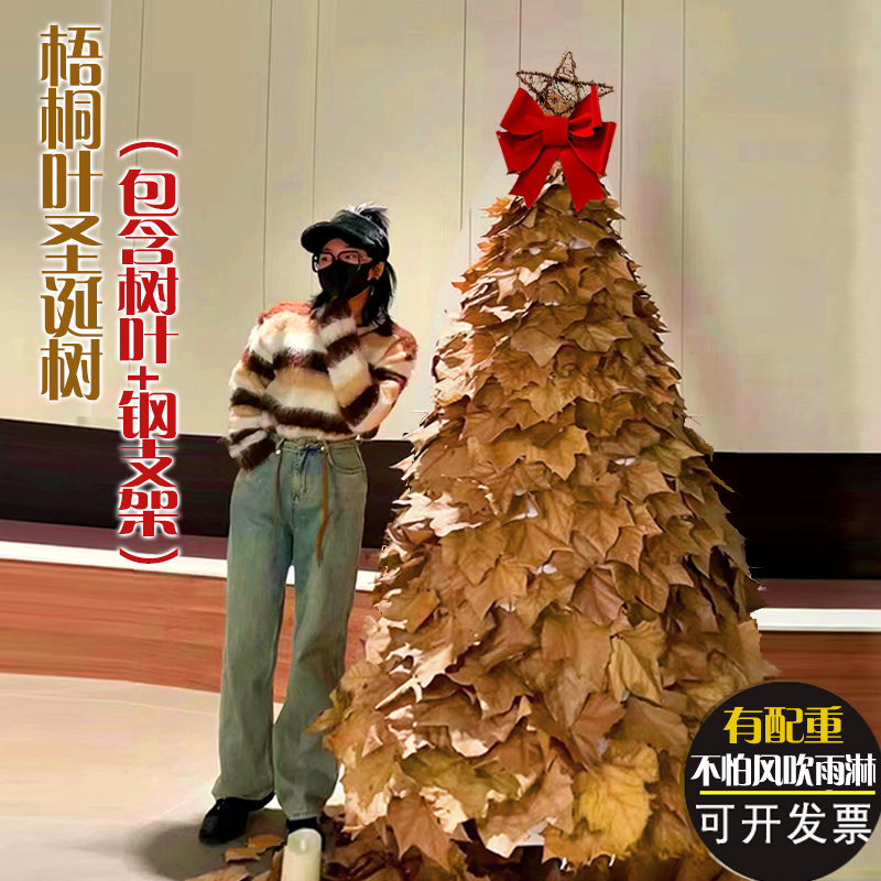 网红梧桐落叶枫叶圣诞树