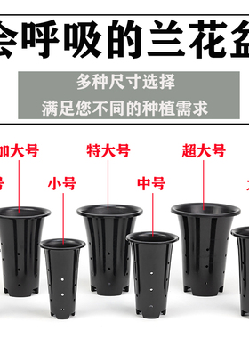 兰花专用花盆透气加厚简约黑色塑料兰花盆建兰绿植花卉君子兰草盆