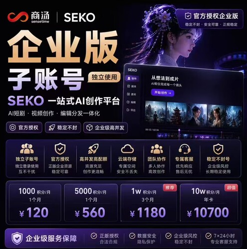 商汤seko积分AI短剧神器ds2.0等模型动漫电商视频企业高速通道